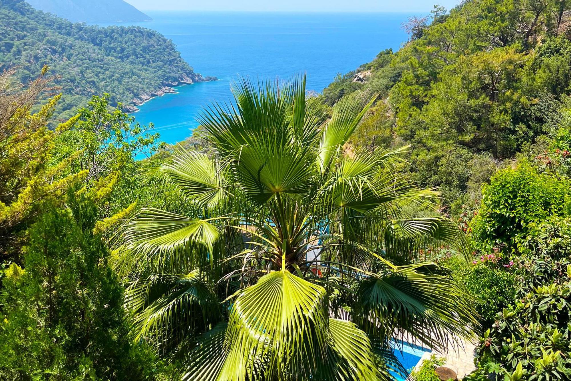 Villa Fullmoon Camp Faralya Exterior foto